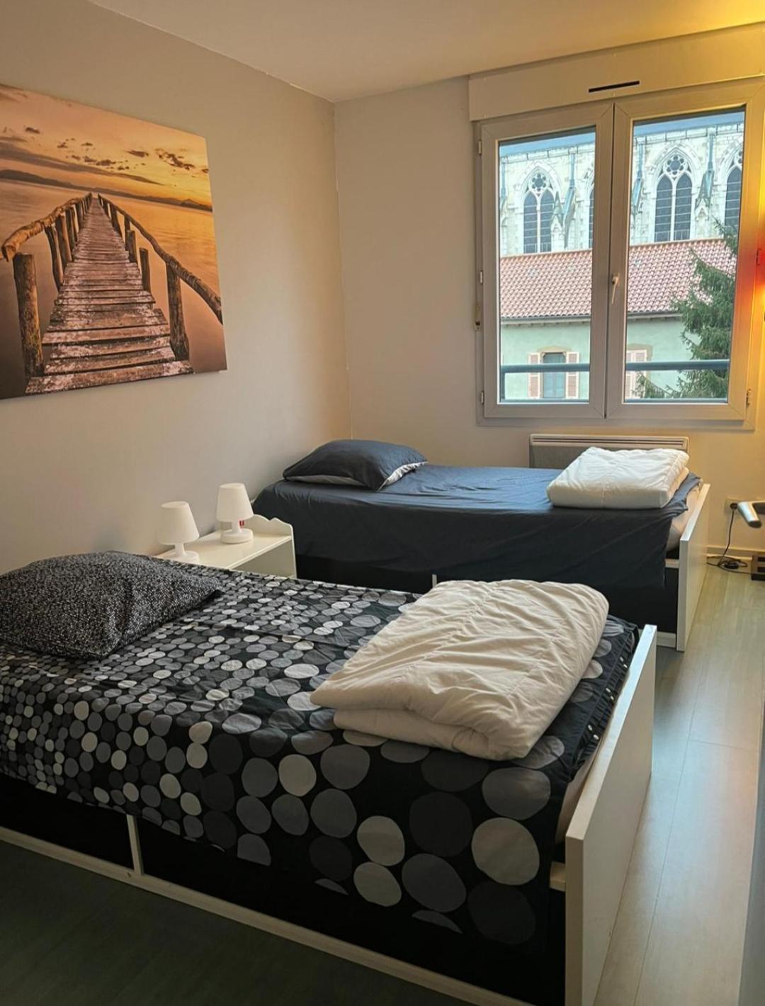 115 Rue Vauban Leilighet Lyon Eksteriør bilde