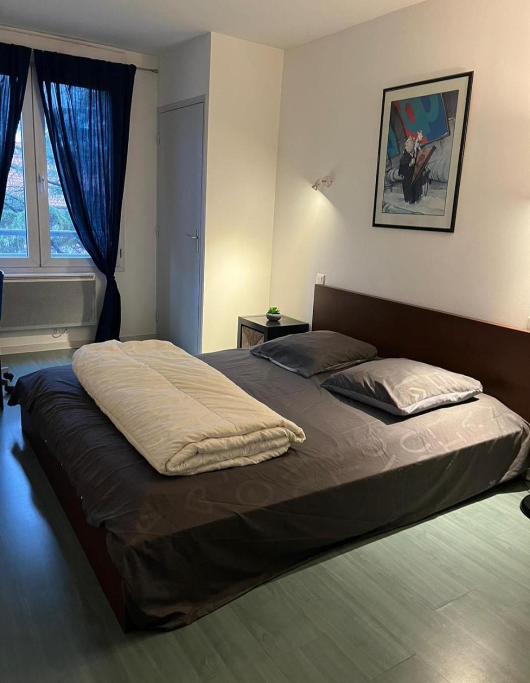 115 Rue Vauban Leilighet Lyon Eksteriør bilde